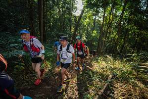 BIB: 
                            <button type="button" onclick="openModal(22544518)" class="btn btn-primary btn-sm float-right btn-popup" data-toggle="modal" data-target=".modal-high-quality">
                        <i class="fas fa-shopping-cart"></i> Add to Cart
                    </button>
                                            <button type="button" onclick="isThisMe(22544518, true)" class="btn btn-success btn-sm float-right btn-popup btn-isme hidden" data-toggle="tooltip" data-placement="bottom" title="นี่คือรูปของคุณใช่ไหม คลิกที่นี่เพื่อเอาเข้าอัลบั้ม">
                        <i class="fas fa-plus"></i> Add to album
                    </button>
                    <button type="button" onclick="isThisMe(22544518, false)" class="btn btn-warning btn-sm float-right btn-popup btn-isnotme hidden">
                        <i class="fas fa-ban"></i> Remove from album
                    </button>